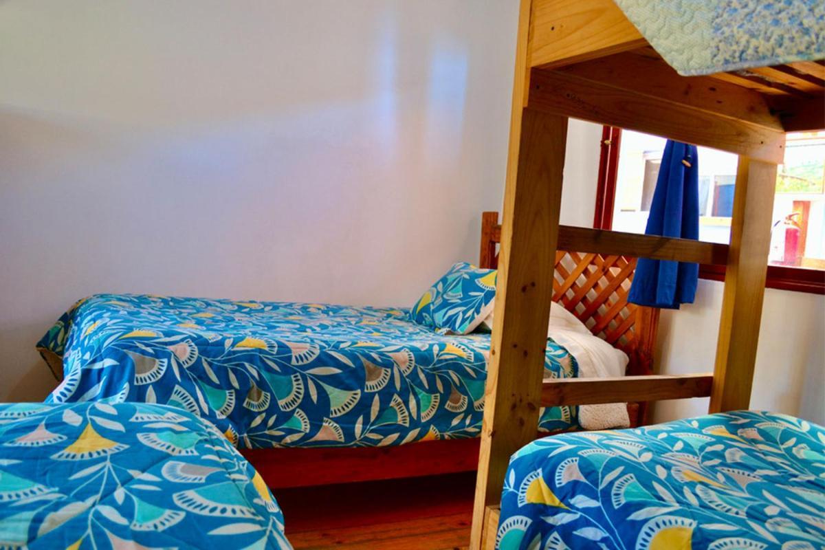 Vicuña Hostal Michel מראה חיצוני תמונה