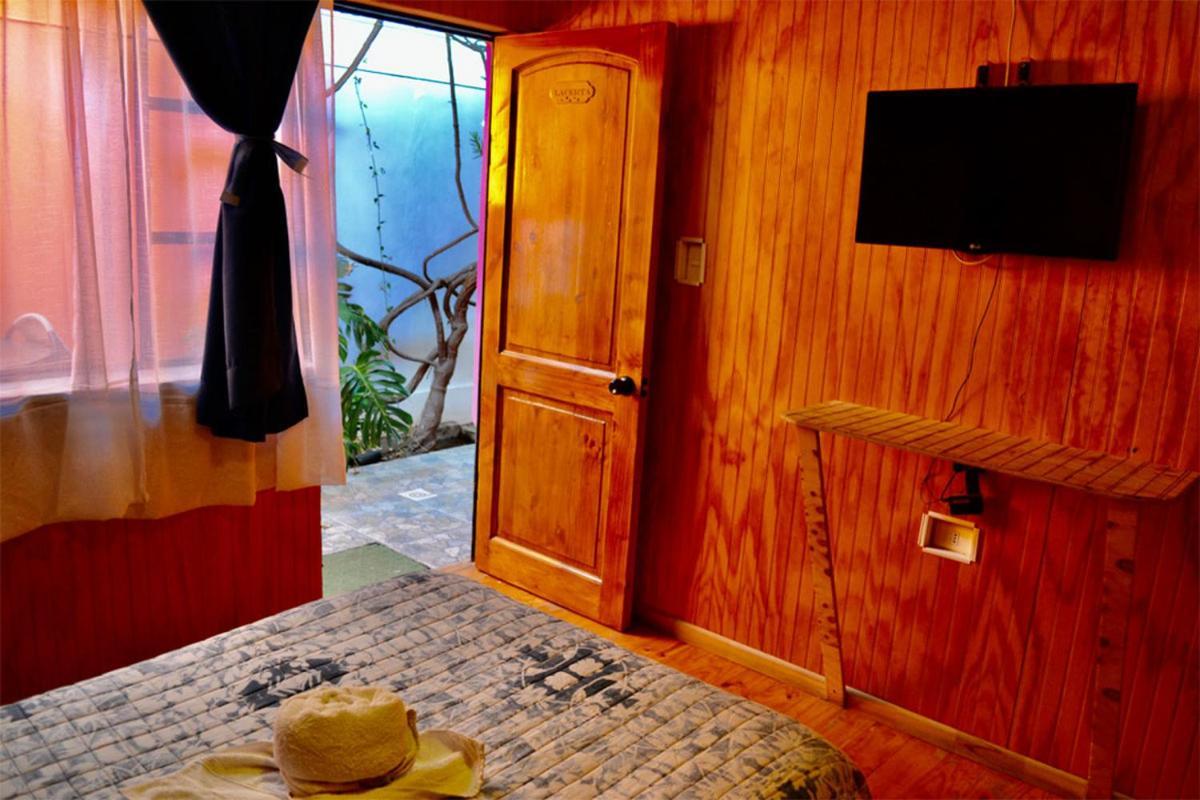 Vicuña Hostal Michel מראה חיצוני תמונה