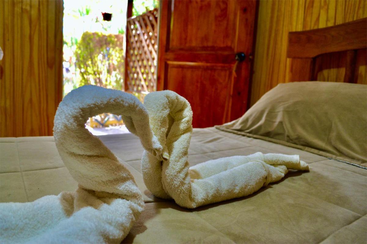 Vicuña Hostal Michel מראה חיצוני תמונה