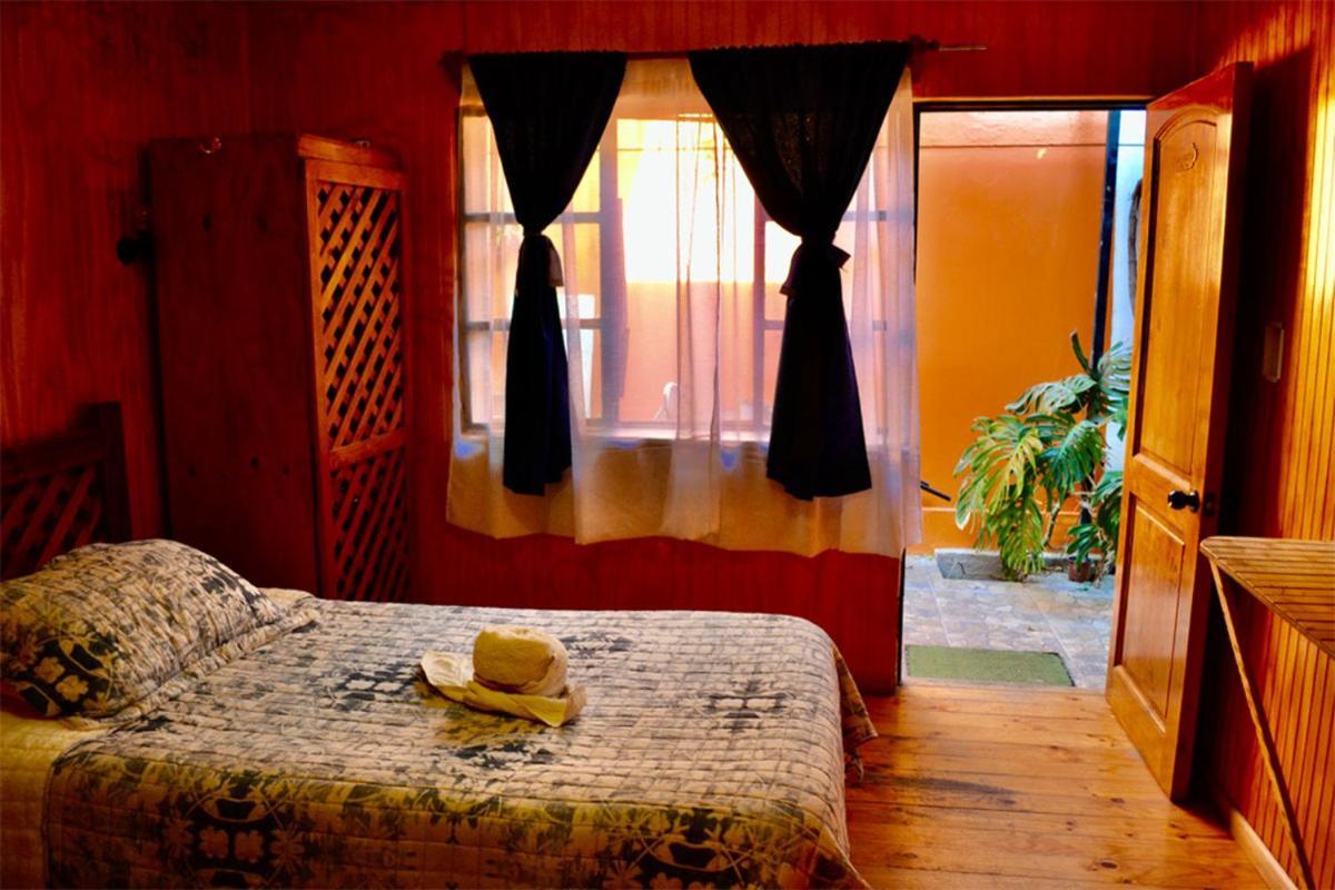 Vicuña Hostal Michel מראה חיצוני תמונה