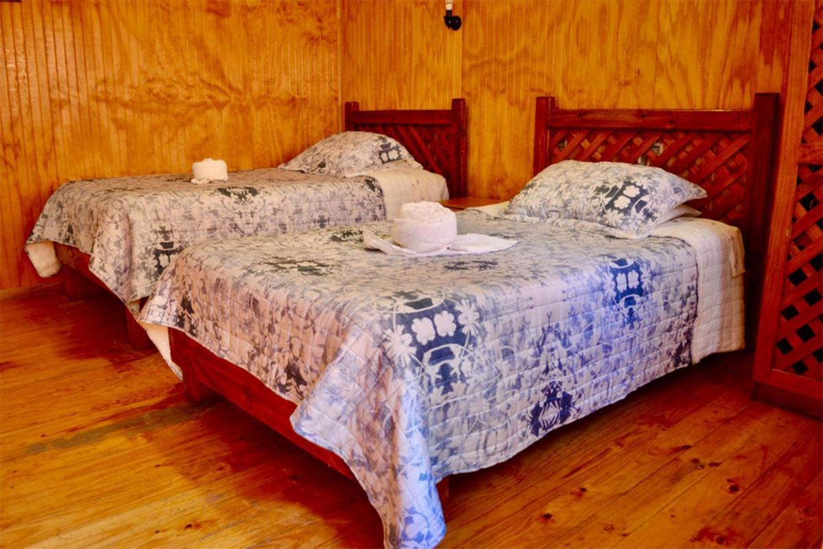 Vicuña Hostal Michel מראה חיצוני תמונה