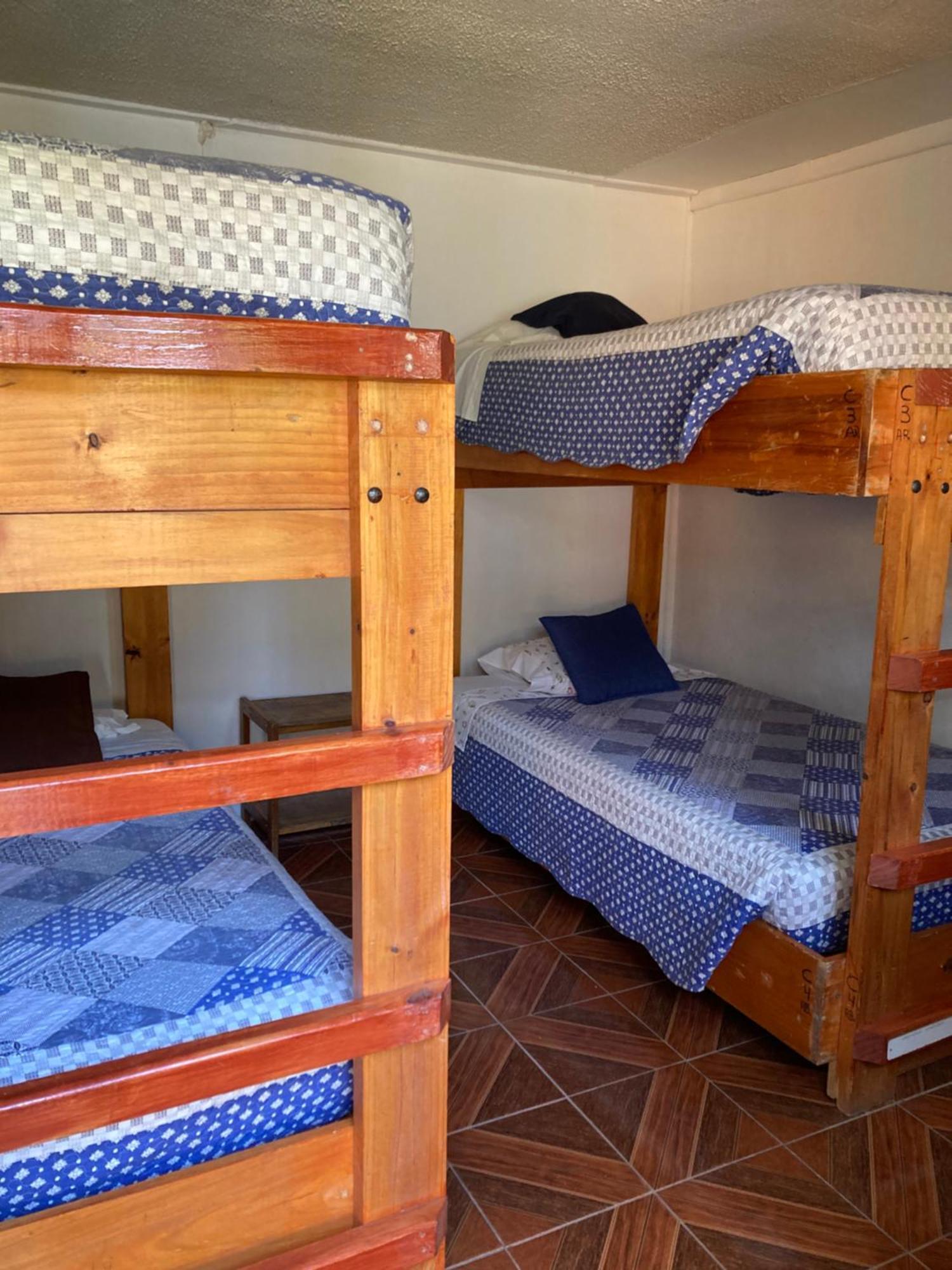 Vicuña Hostal Michel מראה חיצוני תמונה