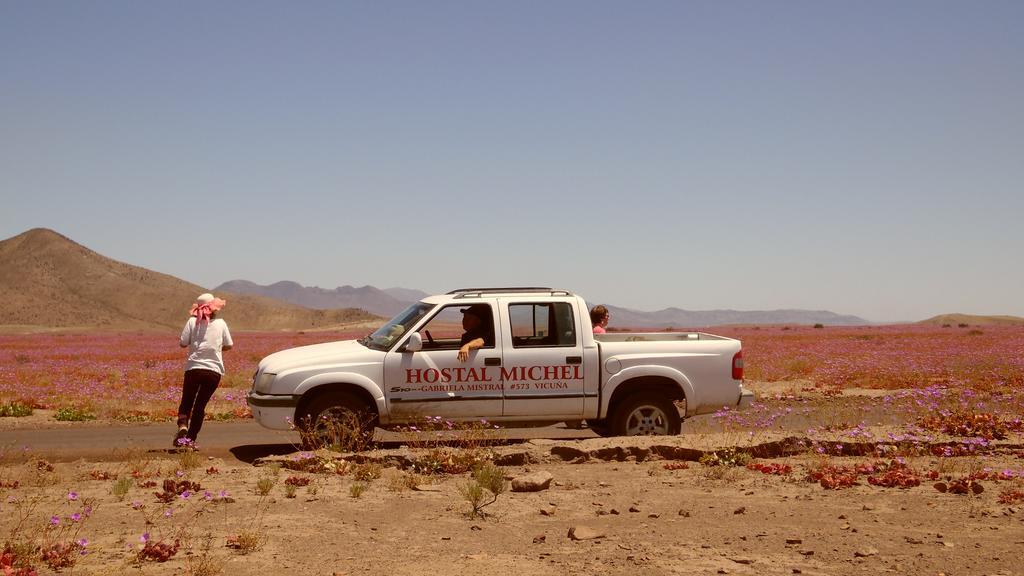 Vicuña Hostal Michel מראה חיצוני תמונה