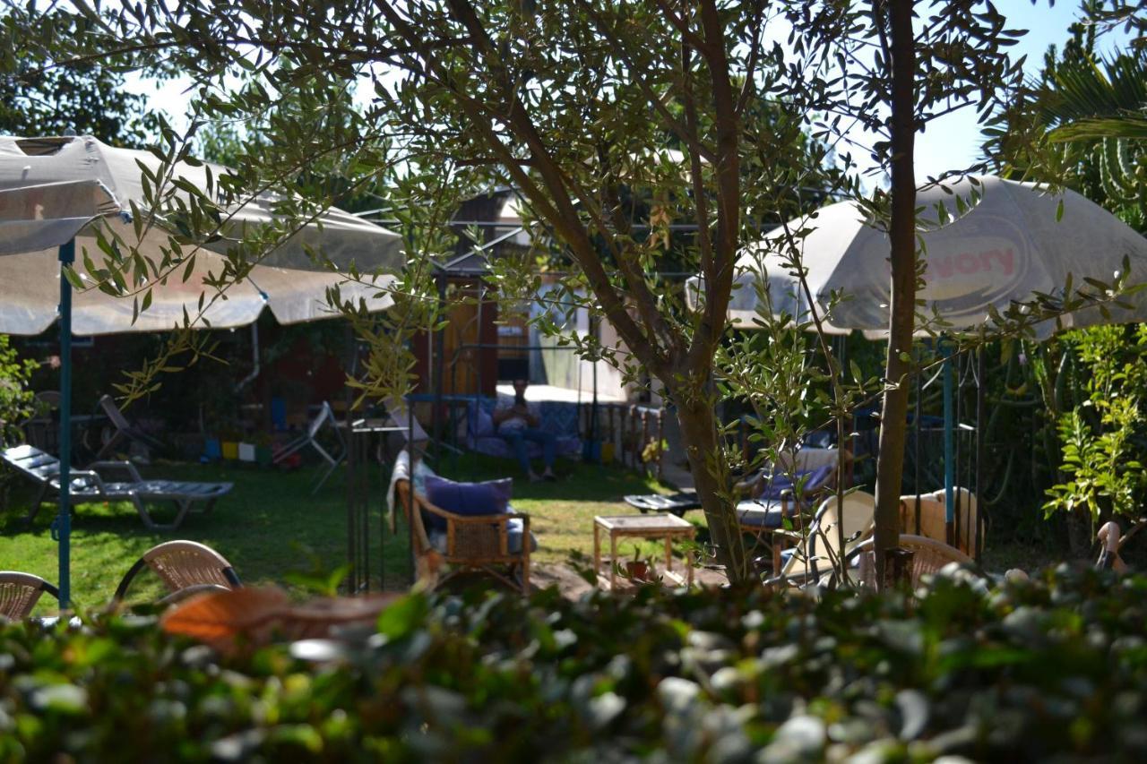 Vicuña Hostal Michel מראה חיצוני תמונה