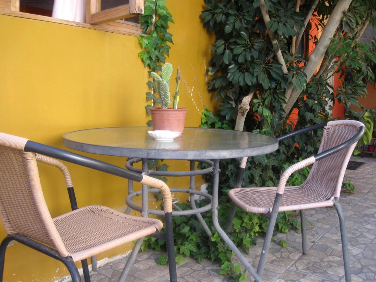 Vicuña Hostal Michel מראה חיצוני תמונה
