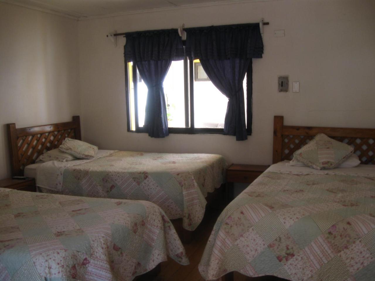 Vicuña Hostal Michel מראה חיצוני תמונה