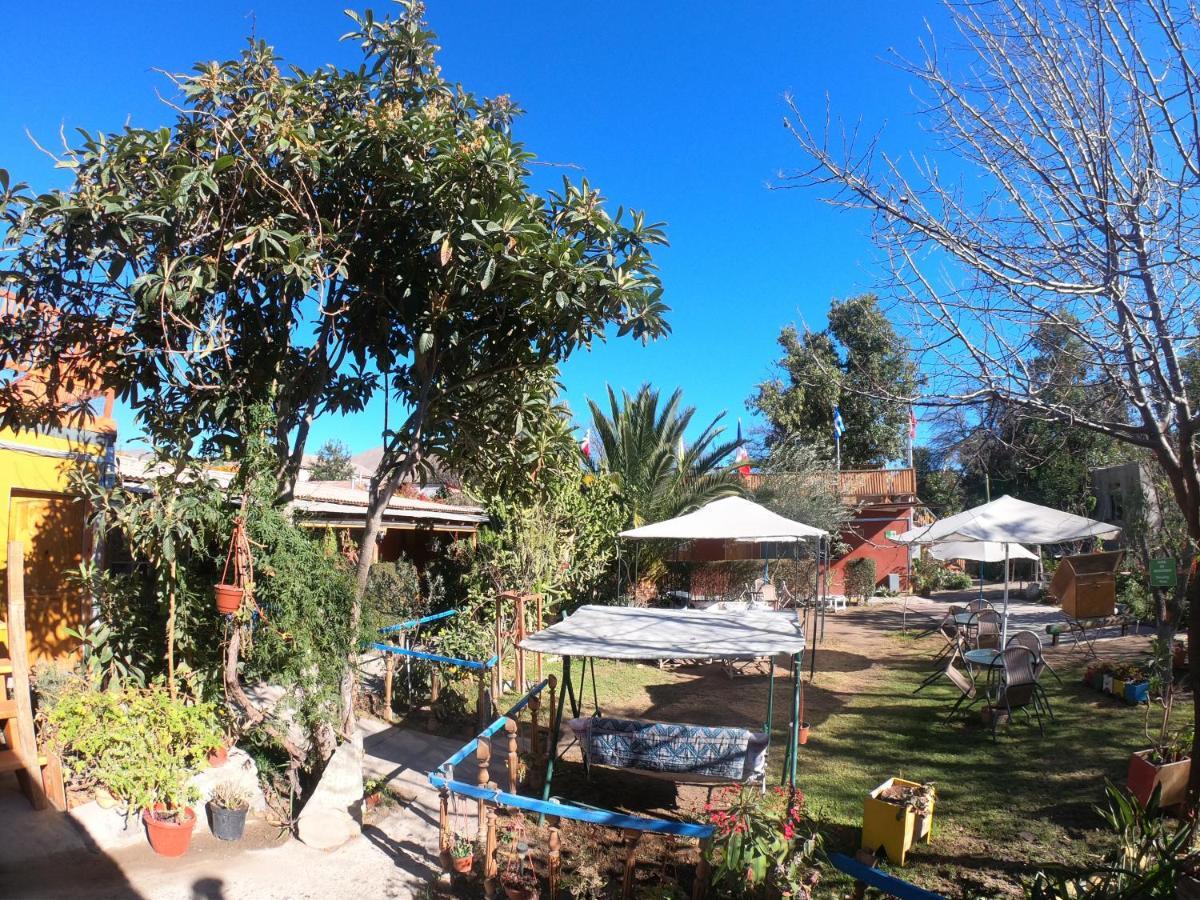Vicuña Hostal Michel מראה חיצוני תמונה