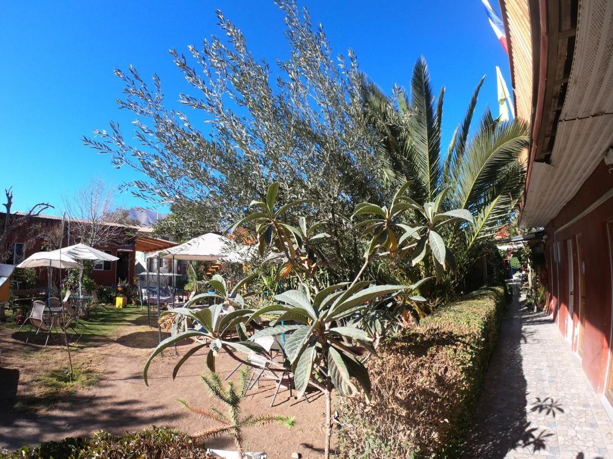 Vicuña Hostal Michel מראה חיצוני תמונה